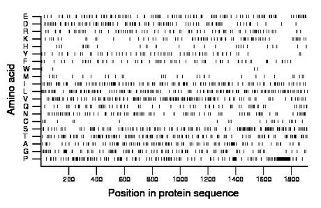 amino acid map