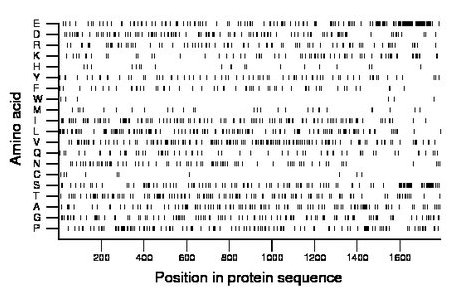 amino acid map