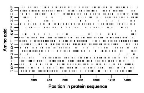 amino acid map