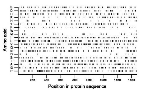 amino acid map