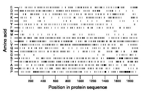 amino acid map