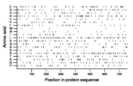 amino acid map