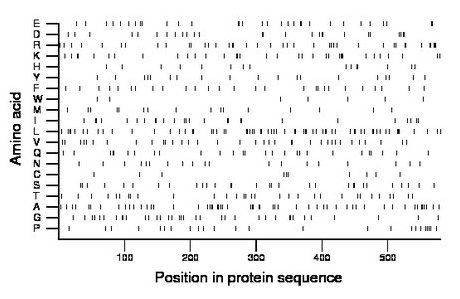 amino acid map