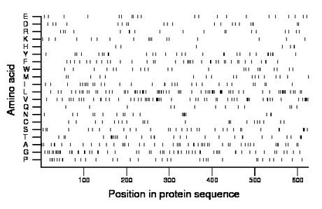 amino acid map