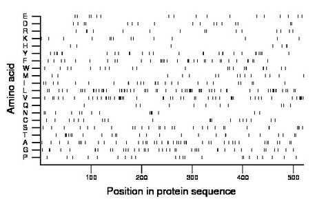 amino acid map