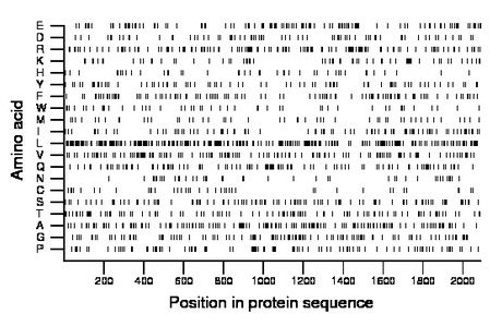 amino acid map