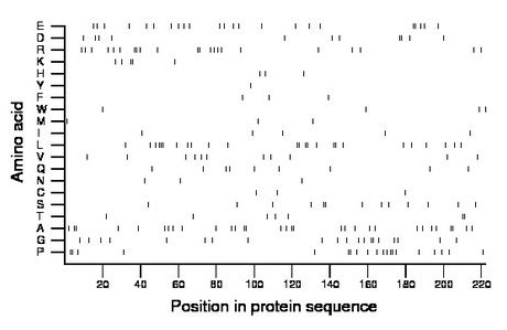 amino acid map