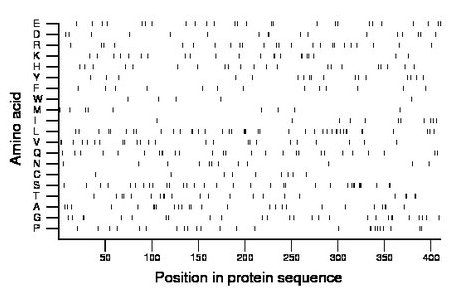 amino acid map