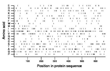 amino acid map