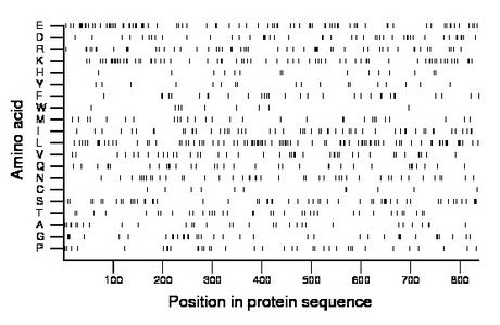 amino acid map