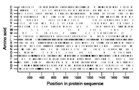 amino acid map