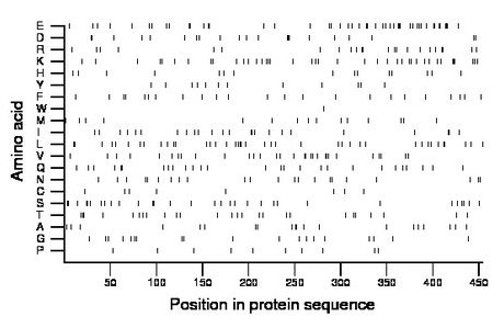 amino acid map