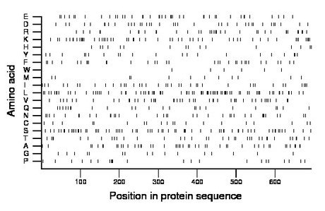 amino acid map