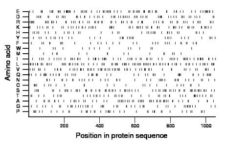 amino acid map