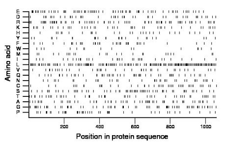 amino acid map