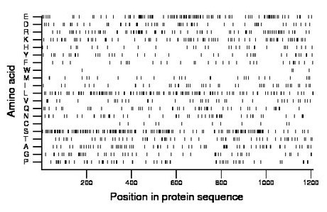 amino acid map