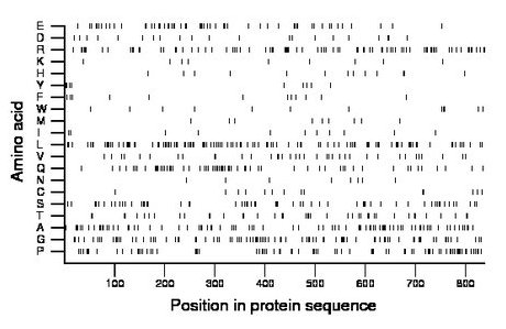 amino acid map