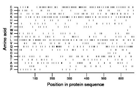 amino acid map