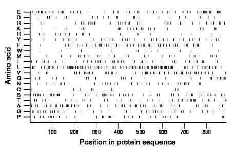 amino acid map