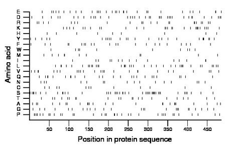 amino acid map