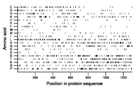 amino acid map