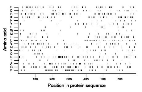 amino acid map