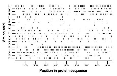 amino acid map