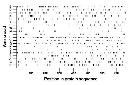 amino acid map