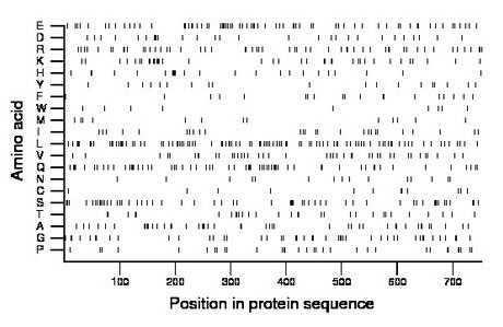 amino acid map