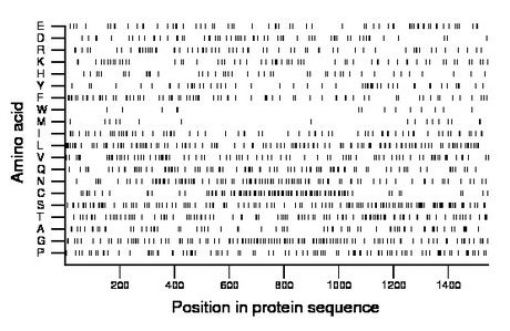 amino acid map