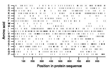 amino acid map