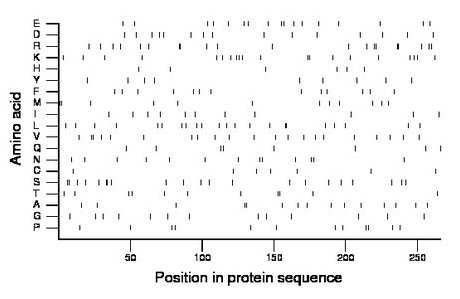 amino acid map