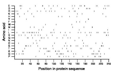 amino acid map