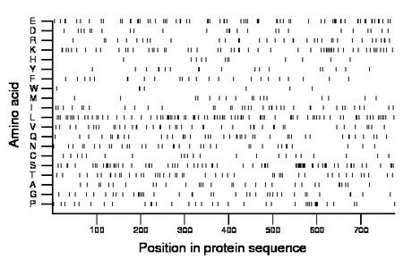 amino acid map