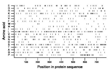 amino acid map