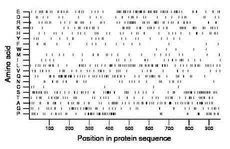 amino acid map