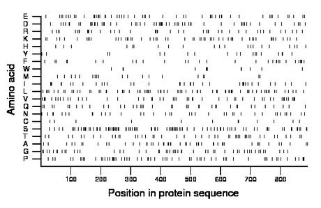 amino acid map