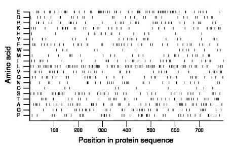 amino acid map