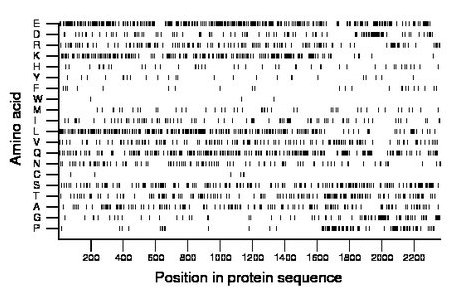 amino acid map