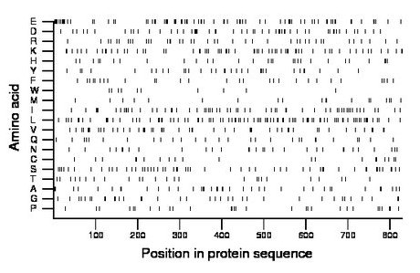 amino acid map