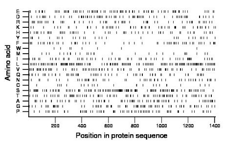 amino acid map