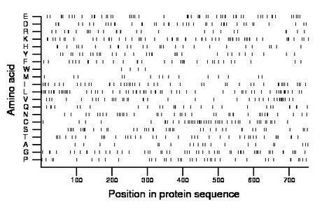 amino acid map