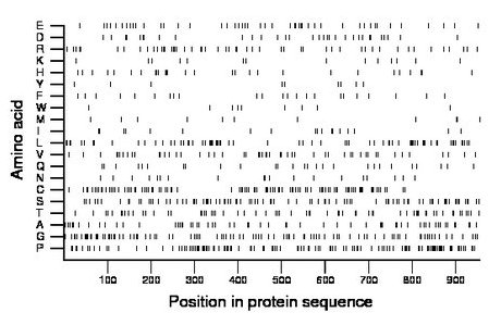 amino acid map