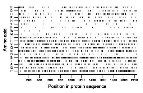 amino acid map