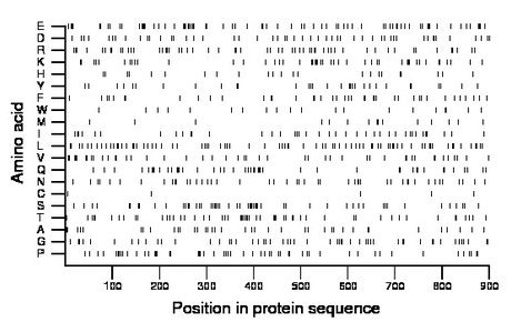 amino acid map