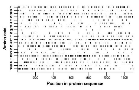 amino acid map