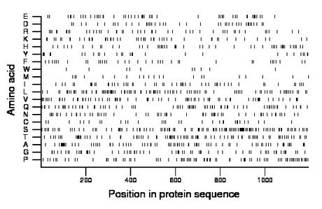 amino acid map