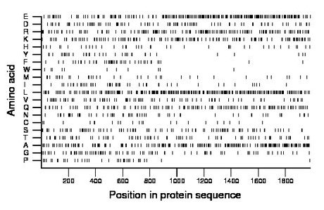 amino acid map