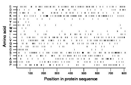 amino acid map