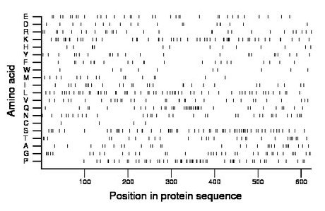 amino acid map